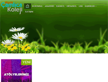 Tablet Screenshot of camlicakoleji.com